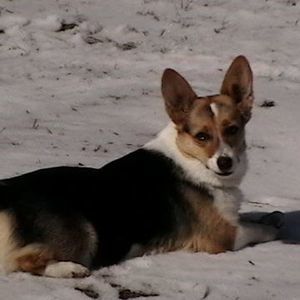 Meet your Posher, Michele